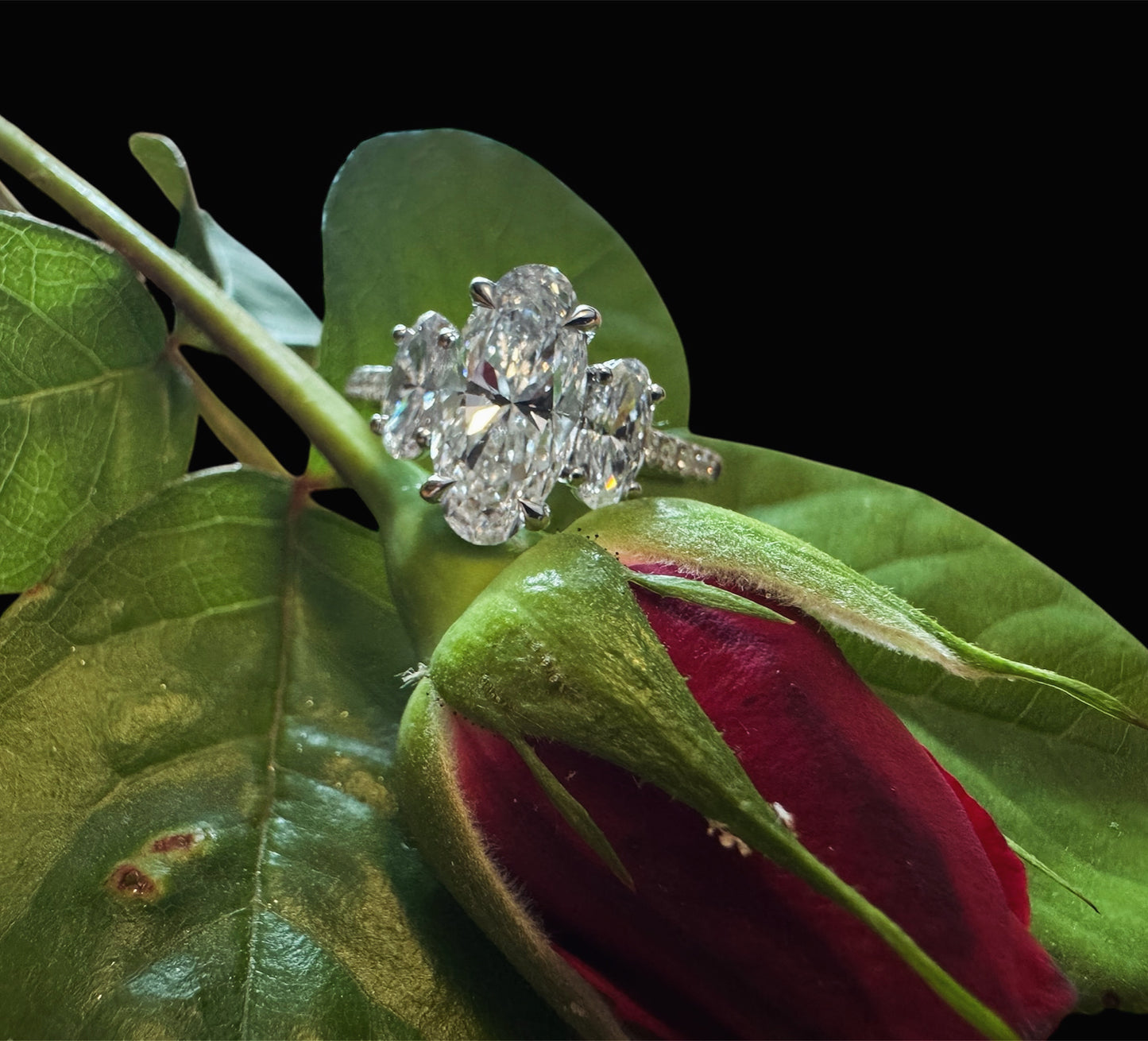 Stunning Three Stone Diamond Ring