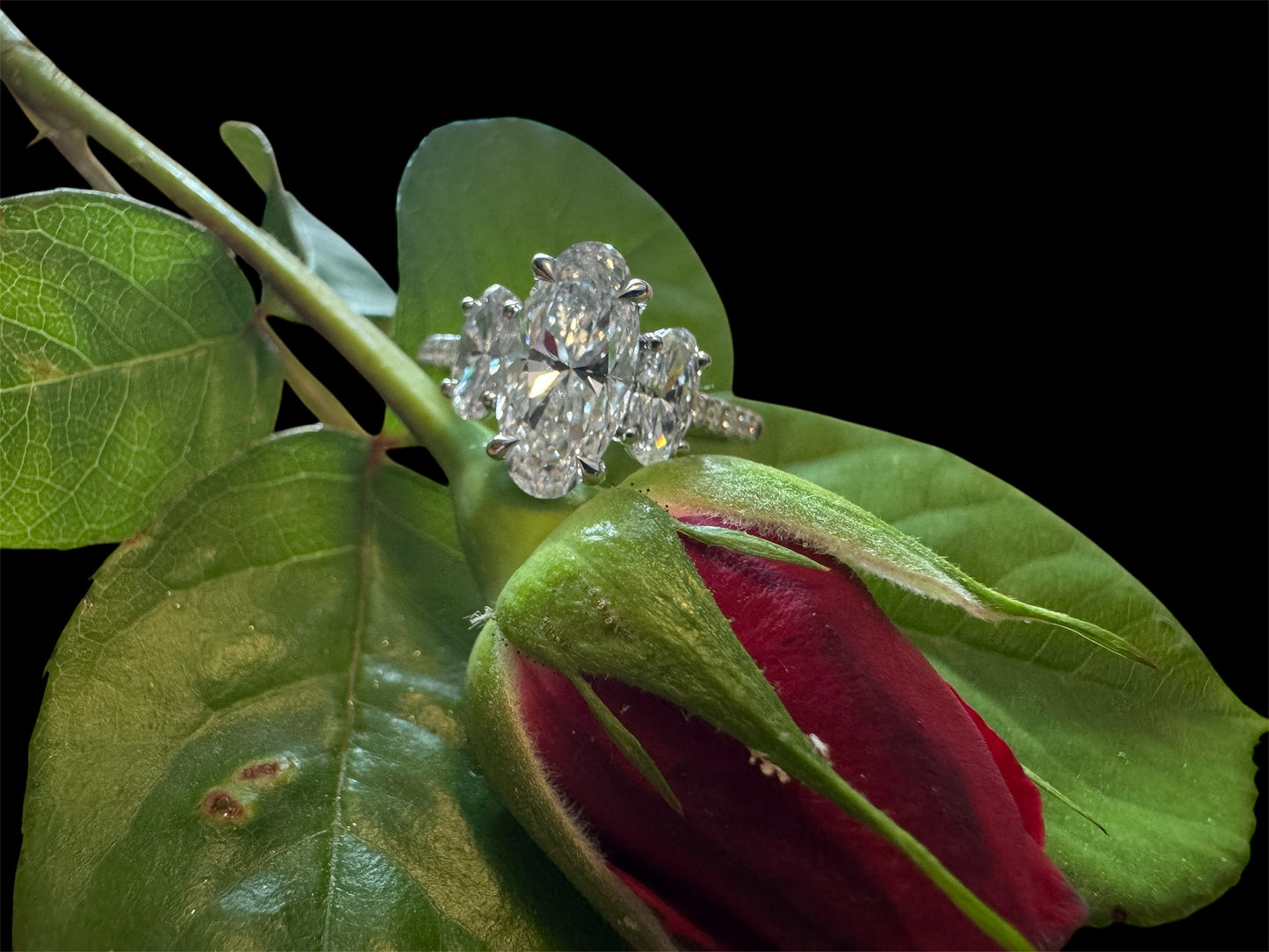 Stunning Three Stone Diamond Ring